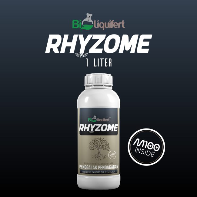 RHYZOME - Image 2